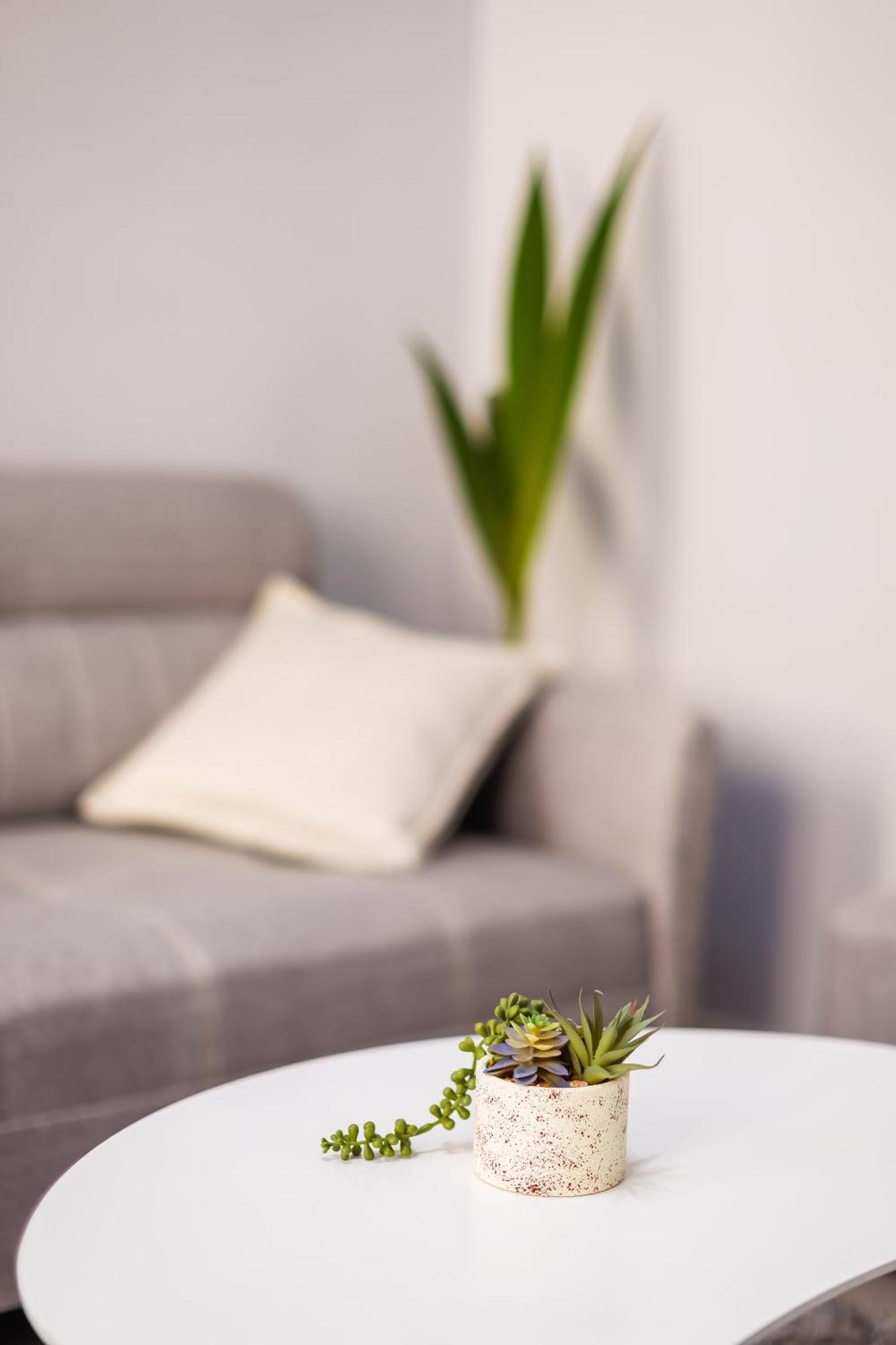 Viewpoint Central Apartment Tirana Exterior foto